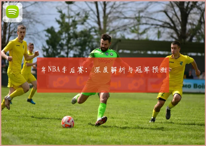 年NBA季后赛：深度解析与冠军预测