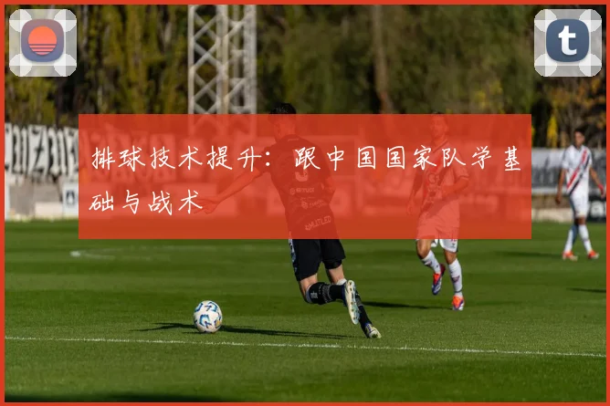 排球技术提升：跟中国国家队学基础与战术
