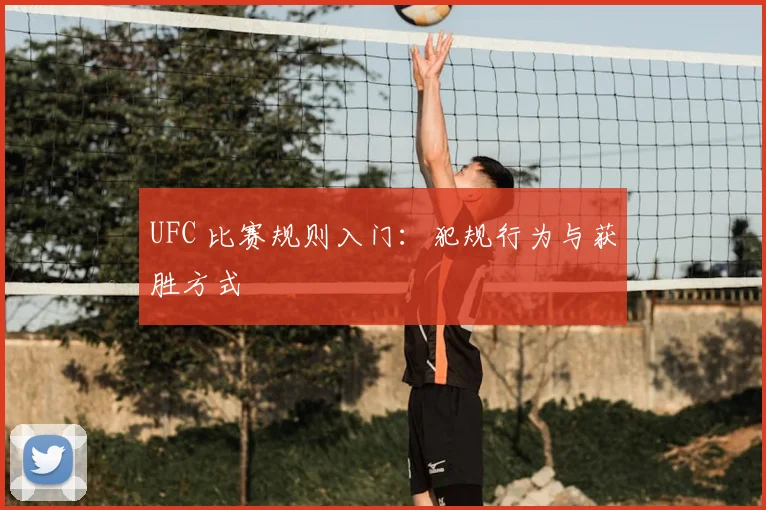UFC 比赛规则入门:犯规行为与获胜方式