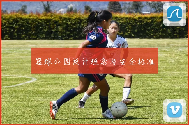 篮球公园设计理念与安全标准