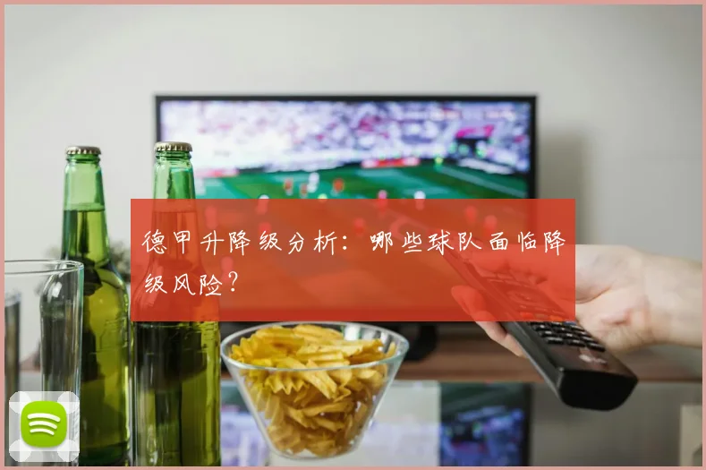 德甲升降级分析：哪些球队面临降级风险？