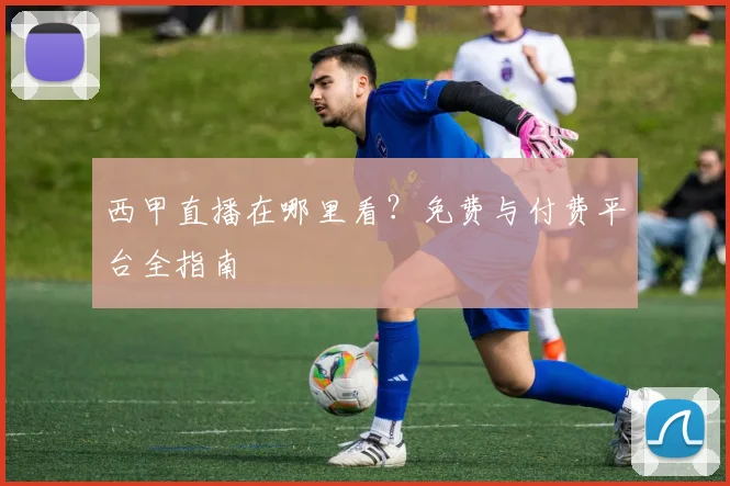西甲直播在哪里看？免费与付费平台全指南