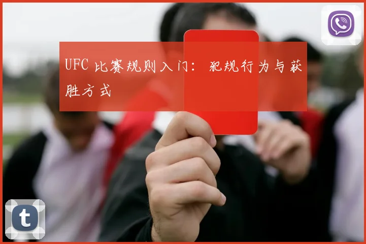 UFC 比赛规则入门：犯规行为与获胜方式